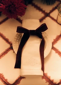 Napkin