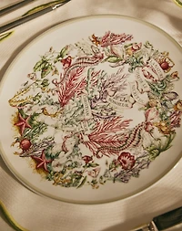 Dinner Plate