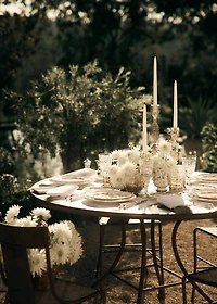 Dinner Plate