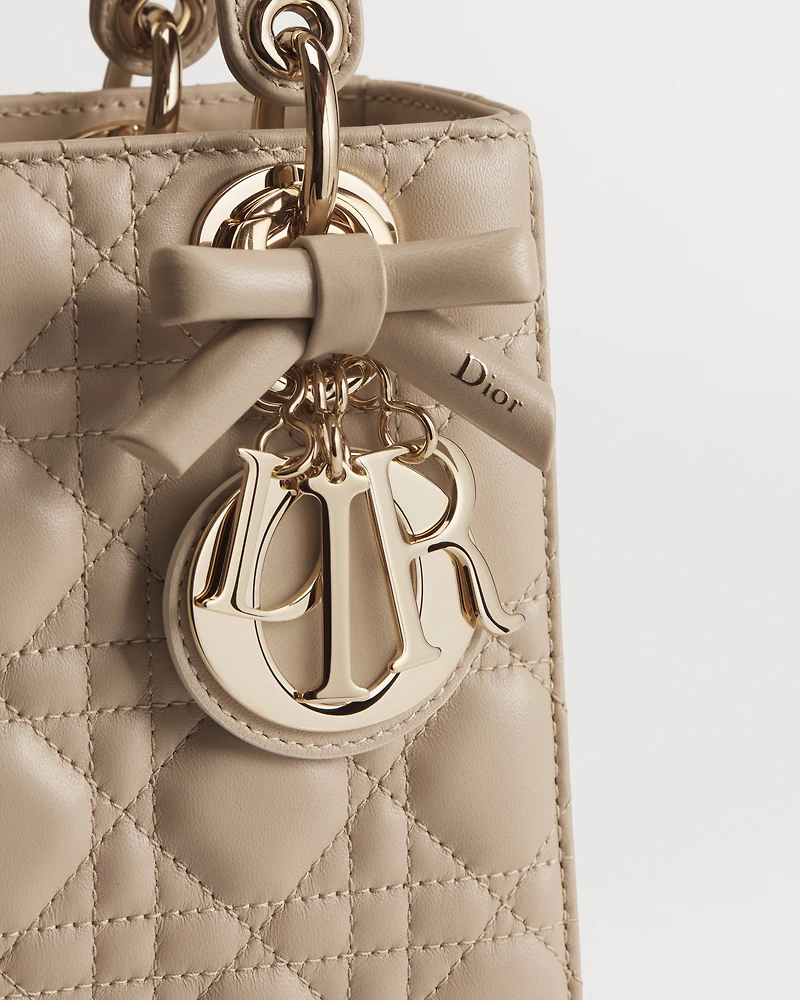 Small Lady Dior Bag with Strap