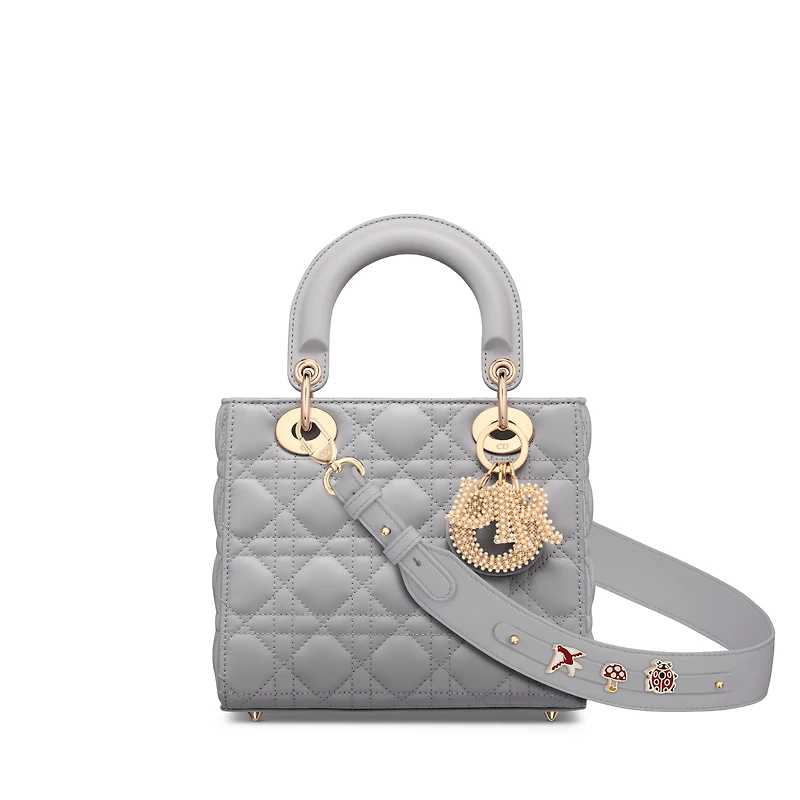 Small Lady Dior My ABCDior Bag