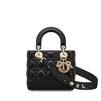 Small Lady Dior My ABCDior Bag