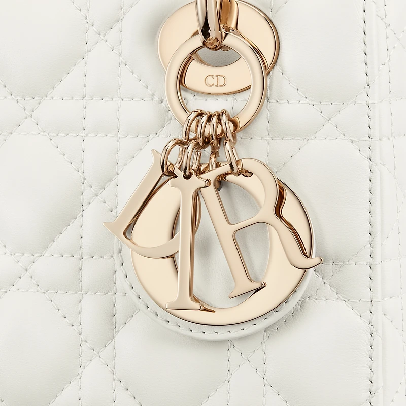 Small Lady Dior My ABCDior Bag