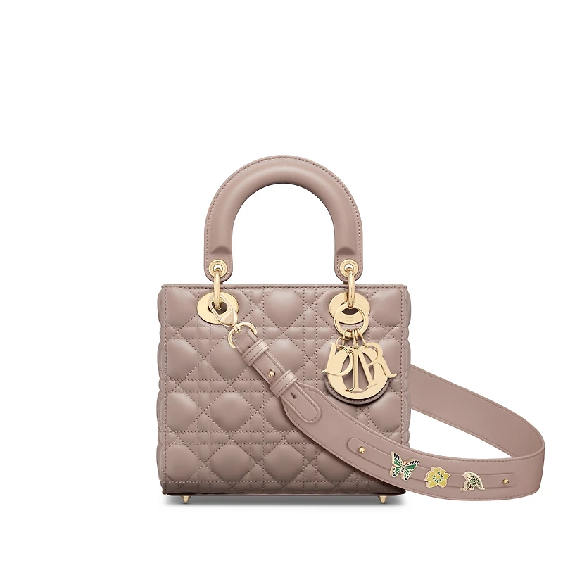 Small Lady Dior My ABCDior Bag
