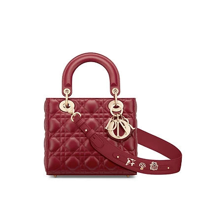 Small Lady Dior My ABCDior Bag