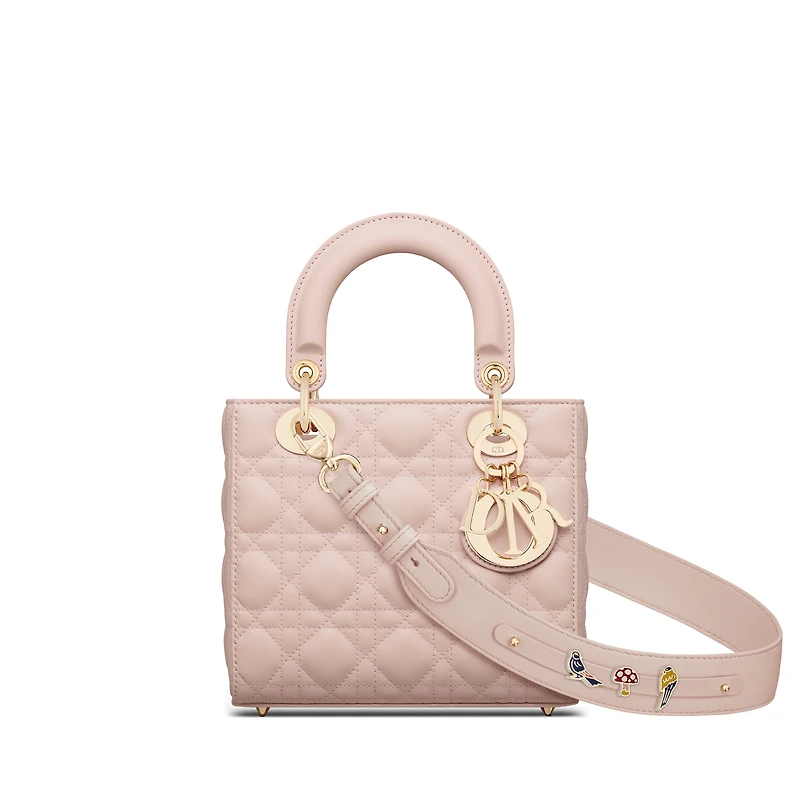 Small Lady Dior My ABCDior Bag