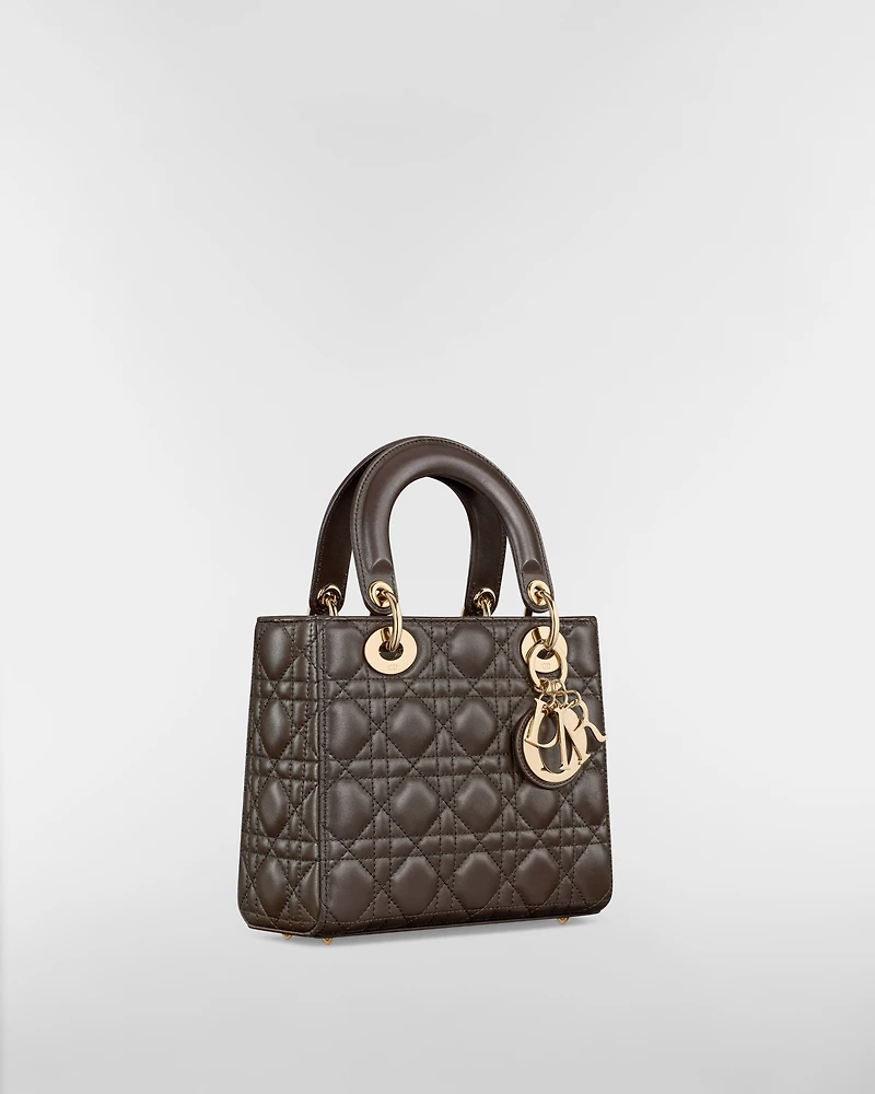 Small Lady Dior My ABCDior Bag