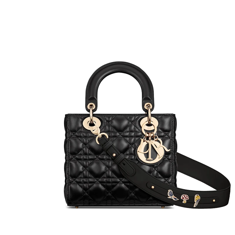 Small Lady Dior My ABCDior Bag