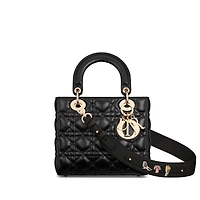 Small Lady Dior My ABCDior Bag
