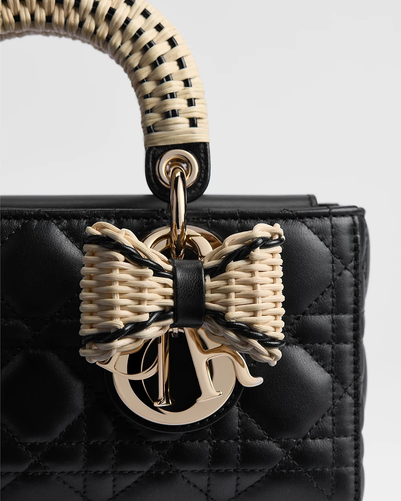 Dioriviera Small Lady D-Joy Bag