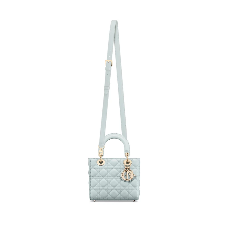 My Lady Dior and I Bag