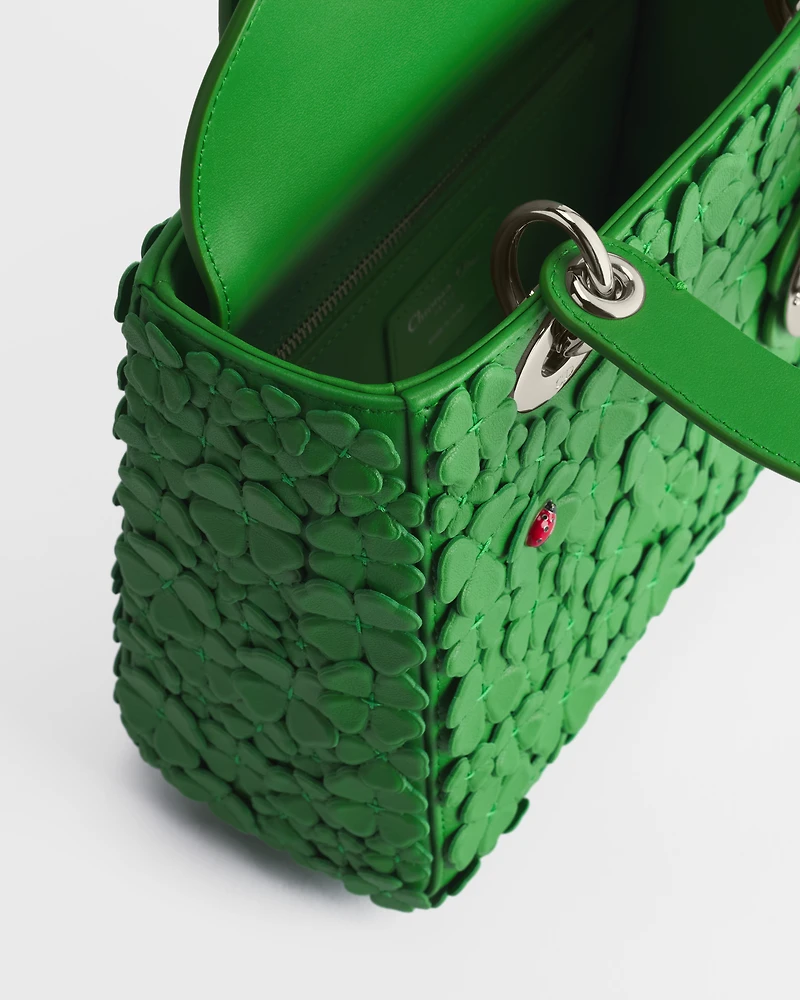 Small Lady Dior Bag with Strap