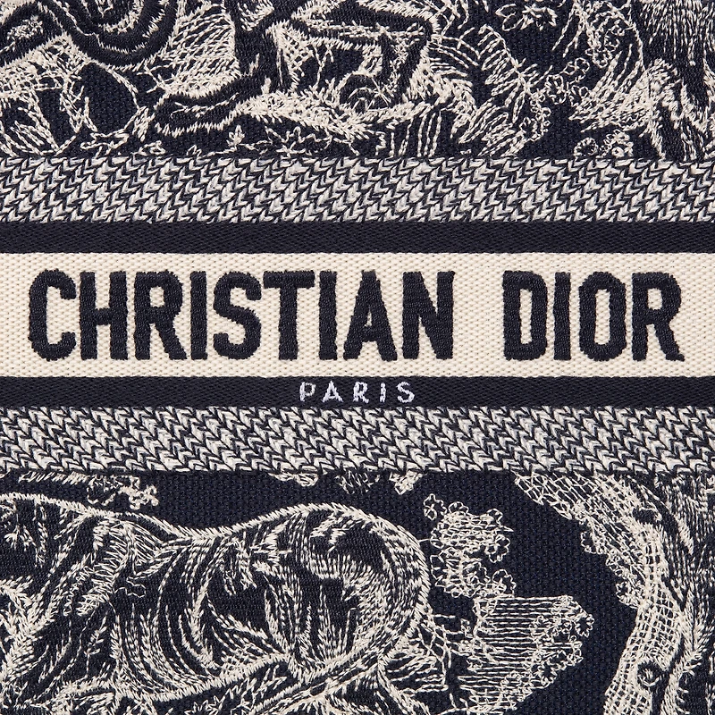 Small Dior Book Tote