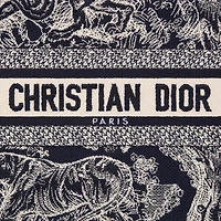 Small Dior Book Tote