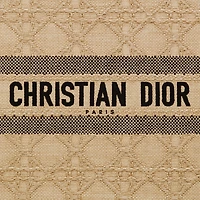 Large Dior Book Tote