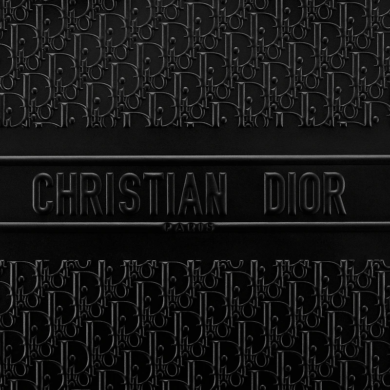 Large Dior Book Tote