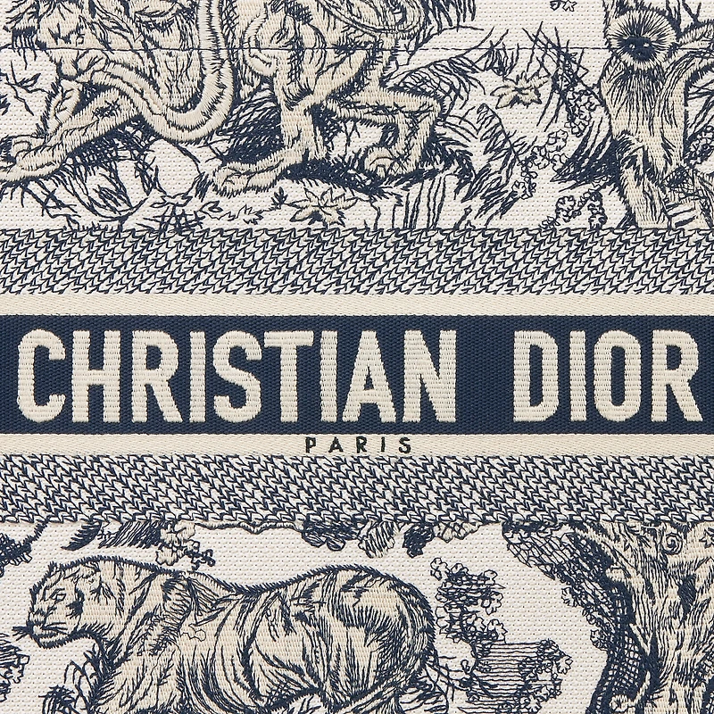 Medium Dior Book Tote