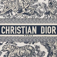 Medium Dior Book Tote