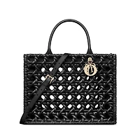 Medium Dior Book Tote