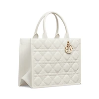 Medium Dior Book Tote