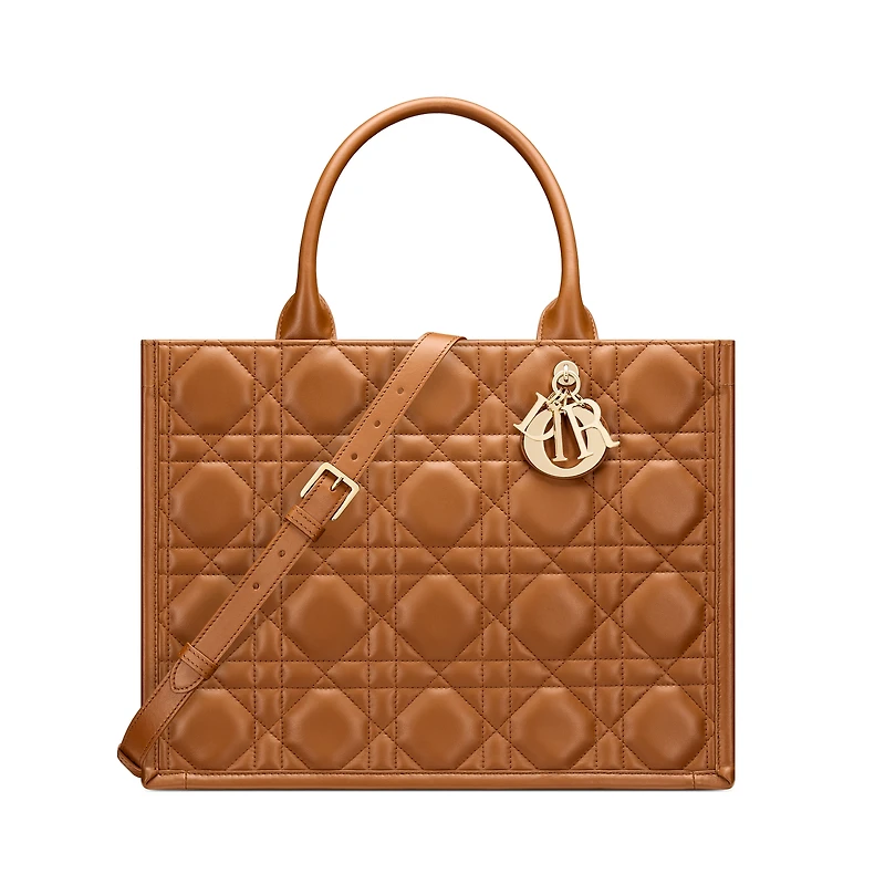 Medium Dior Book Tote