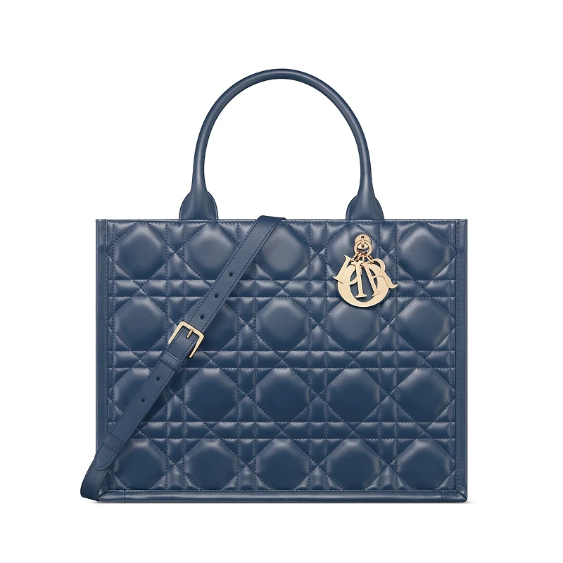 Medium Dior Book Tote