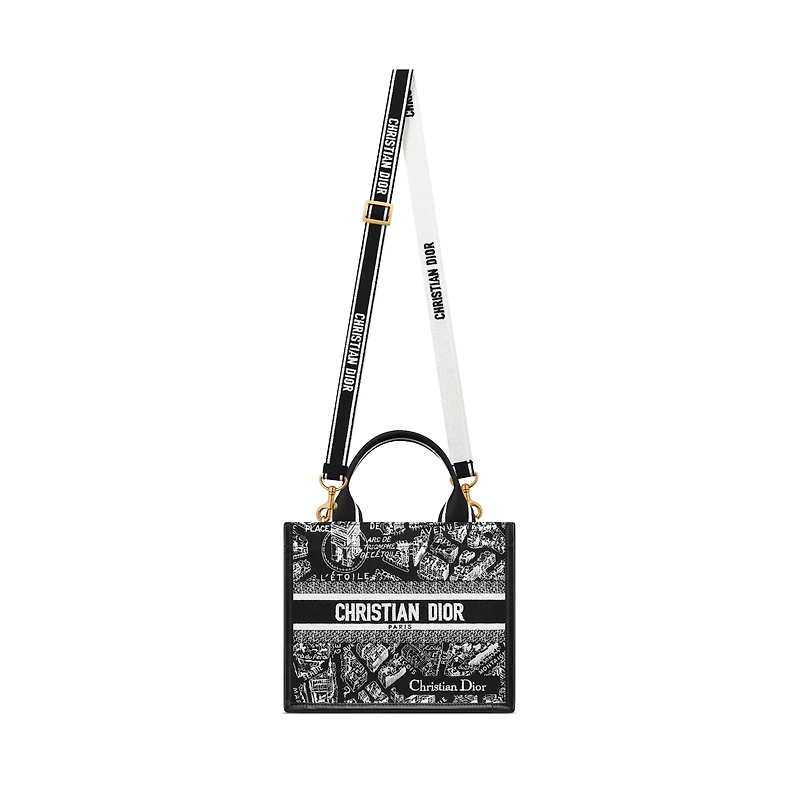 Small Dior Book Tote