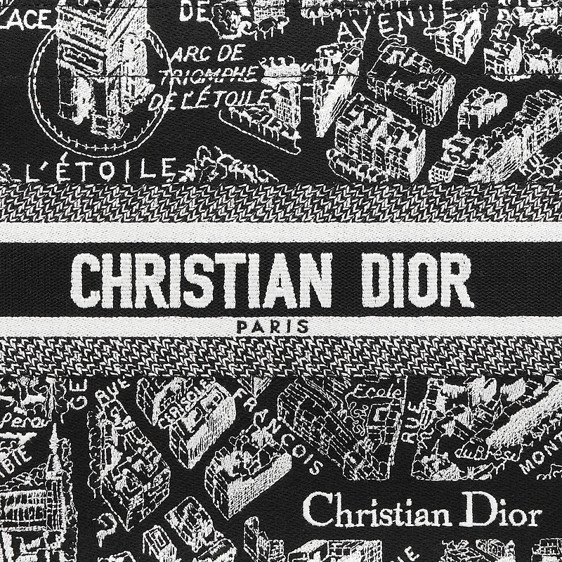 Small Dior Book Tote