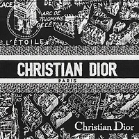 Small Dior Book Tote