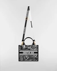 Small Dior Book Tote