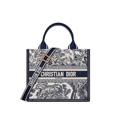 Small Dior Book Tote