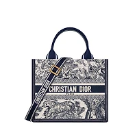 Small Dior Book Tote