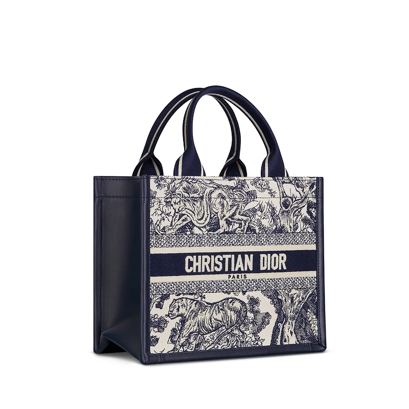 Small Dior Book Tote