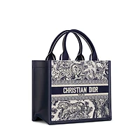 Small Dior Book Tote