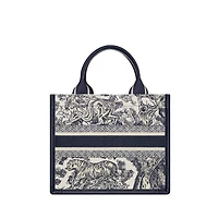 Small Dior Book Tote
