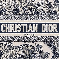 Small Dior Book Tote