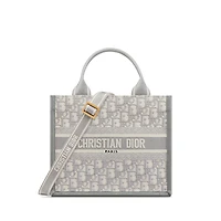 Small Dior Book Tote
