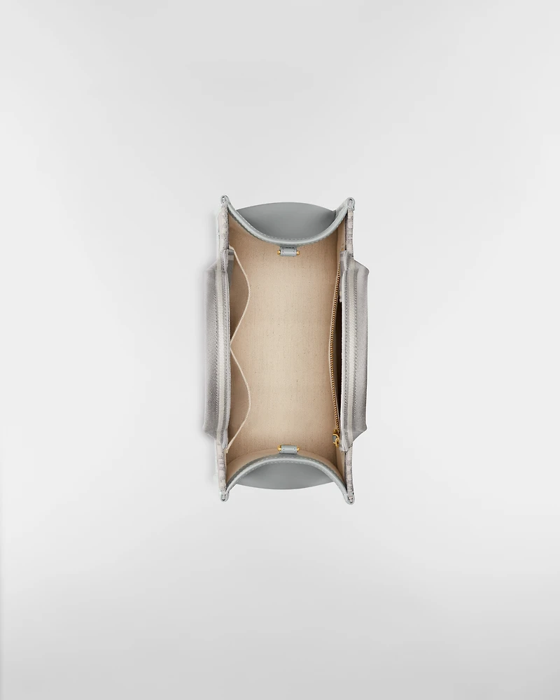 Small Dior Book Tote