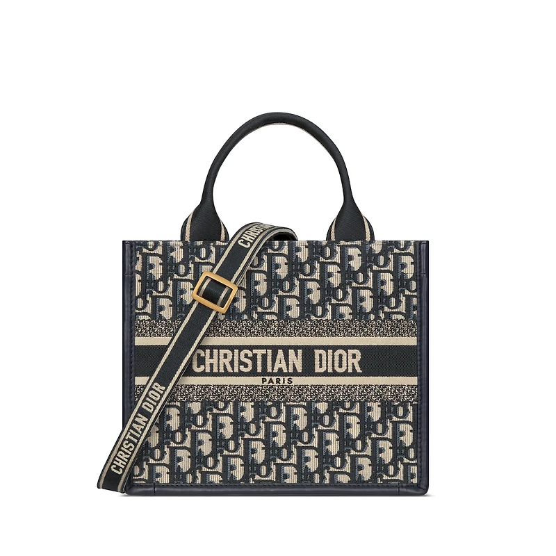 Small Dior Book Tote