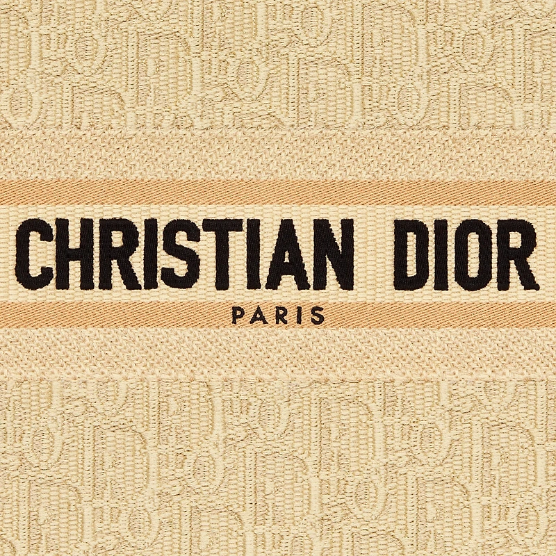 Small Dior Book Tote