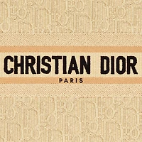 Small Dior Book Tote