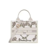 Small Dior Book Tote