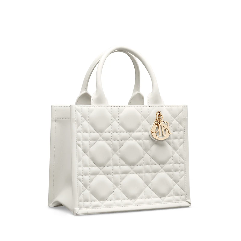 Small Dior Book Tote