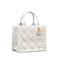 Small Dior Book Tote