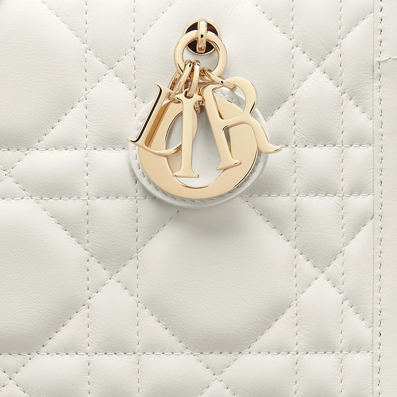 Small Dior Book Tote