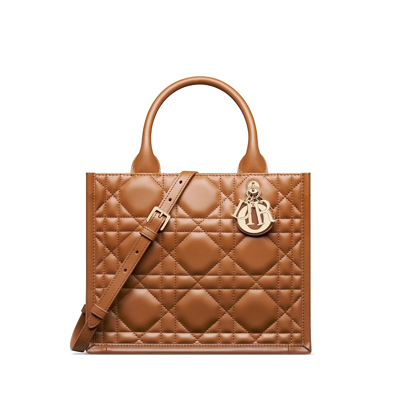 Small Dior Book Tote