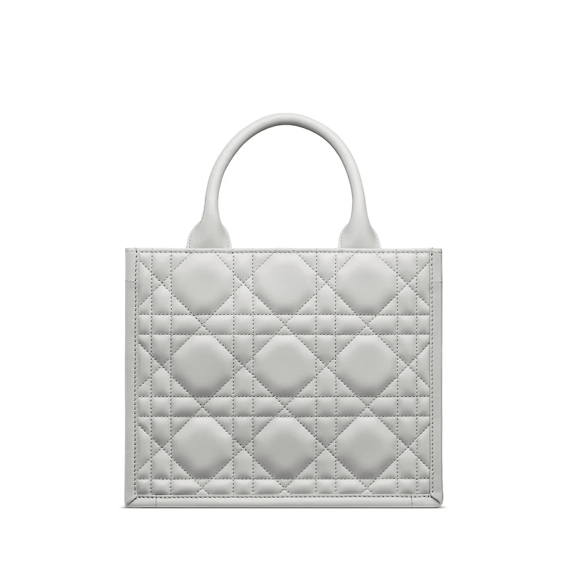 Small Dior Book Tote