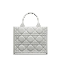 Small Dior Book Tote