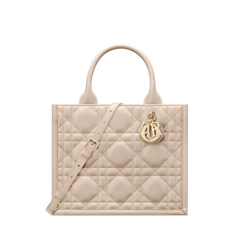 Small Dior Book Tote