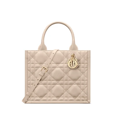 Small Dior Book Tote